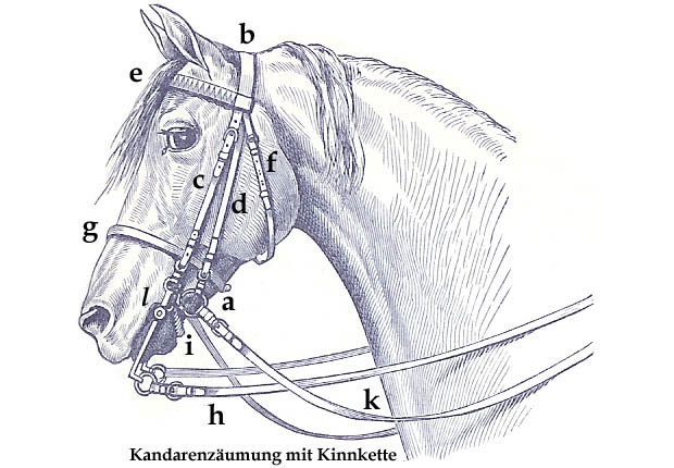 Kopfgestell.